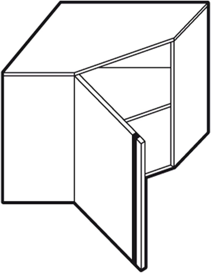 Corner Wall Cabinet for Commercial Kitchen (27.5x15.7x31.4 Inch)
