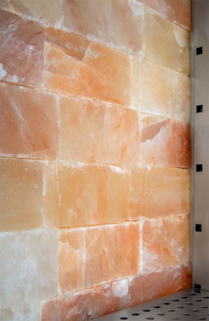Meat Maturation Cabinet - 1.0 x 0.69 m - 2 glass doors
