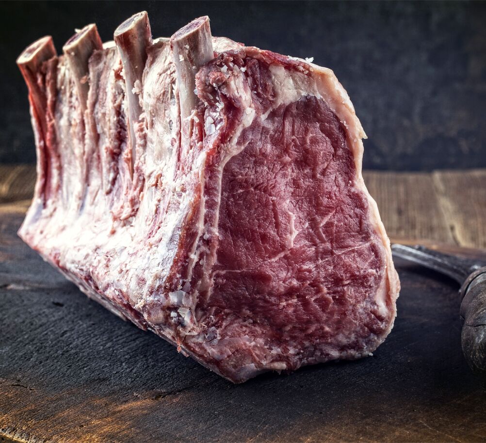 Meat Maturation Cabinet - 1.0 x 0.69 m - 2 glass doors
