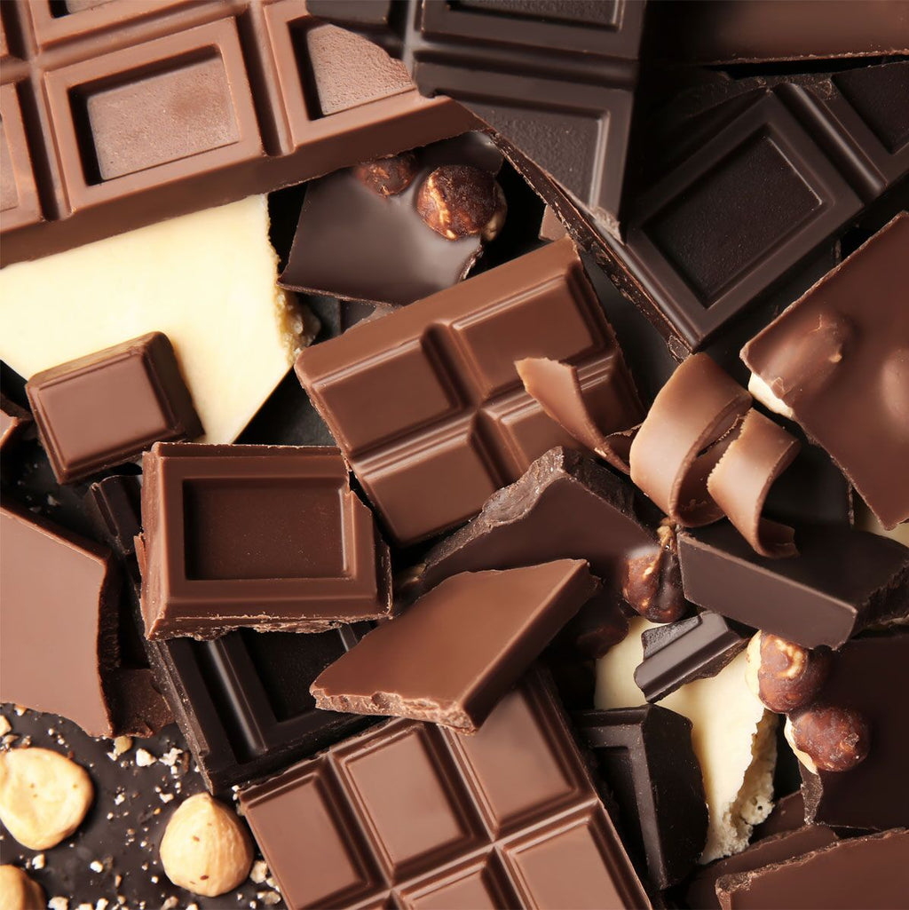 Chocolate Storage Cabinet Premium - GN 2/1 - 700 liters - 1 door