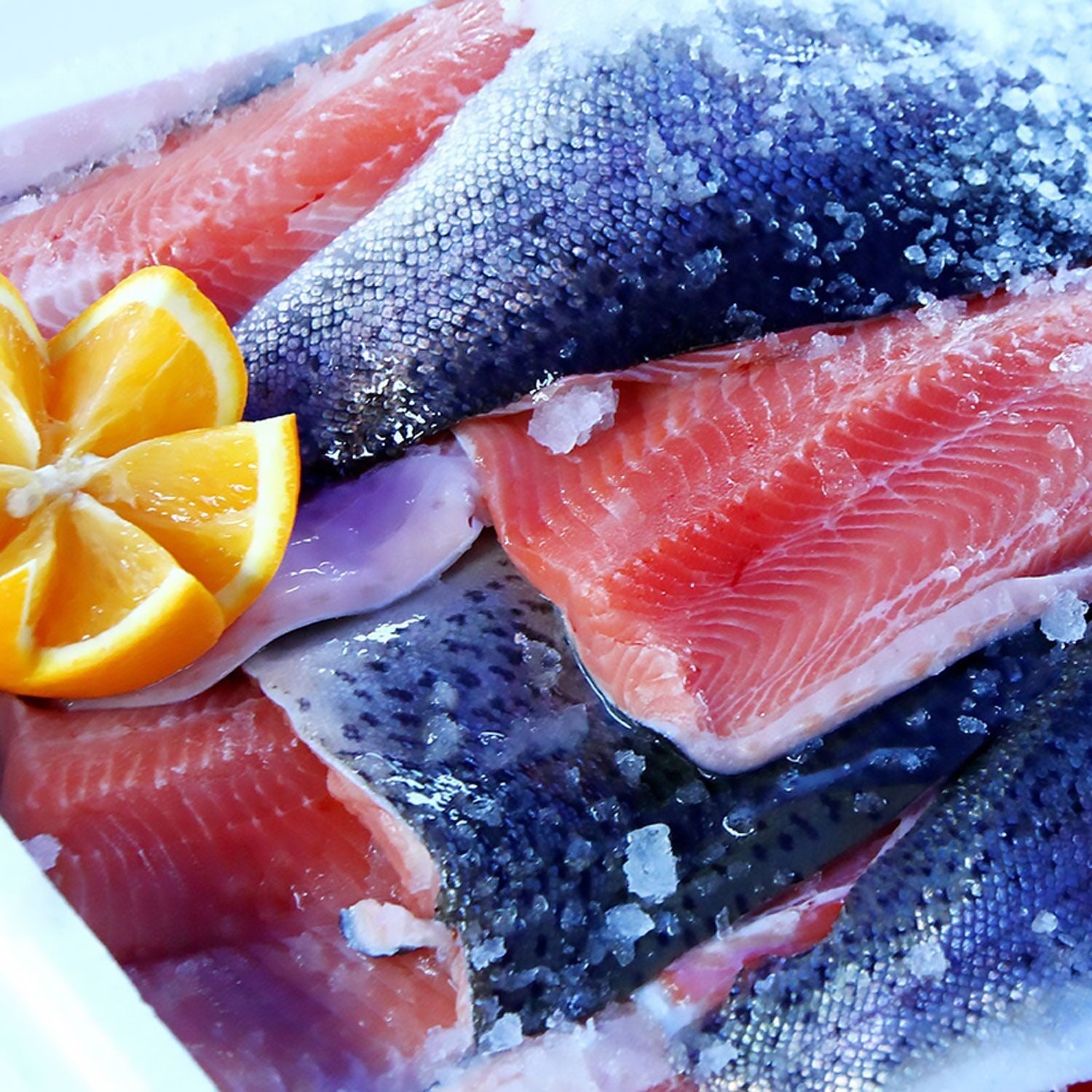 Fish Refrigerator Premium - 400 Liter - 1 Door