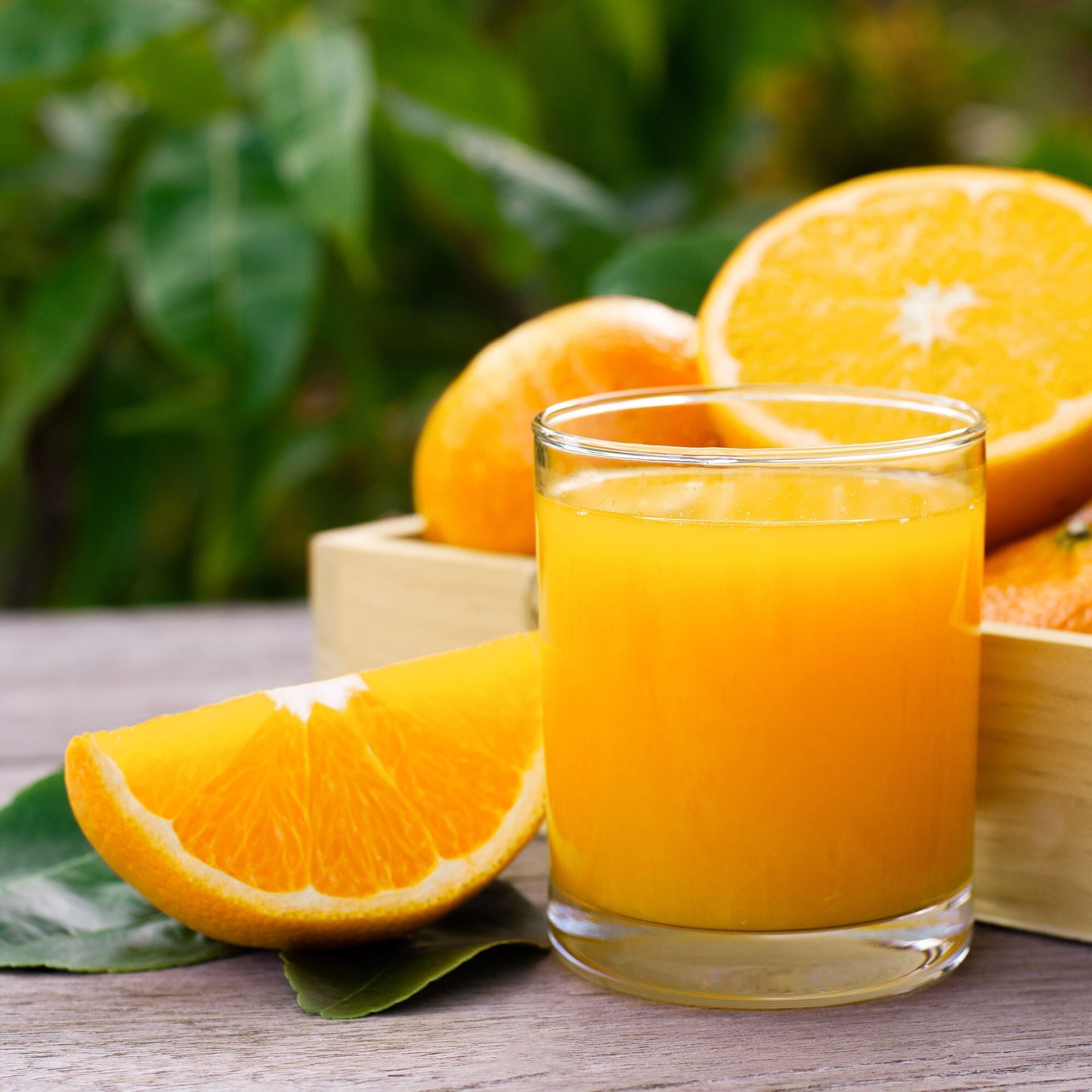 Automatic Orange Squeeze - Gray