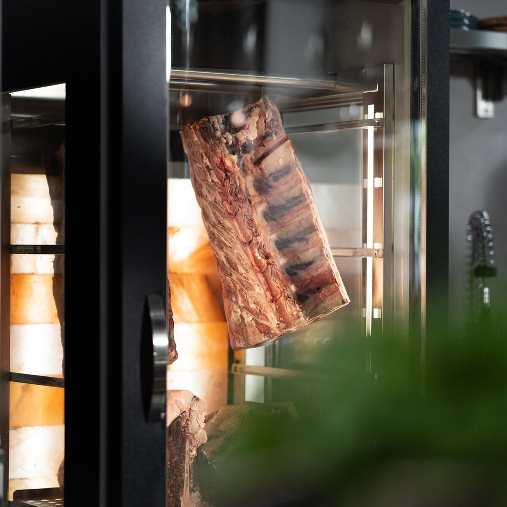 Meat Maturation Cabinet - 1.0 x 0.69 m - 2 glass doors