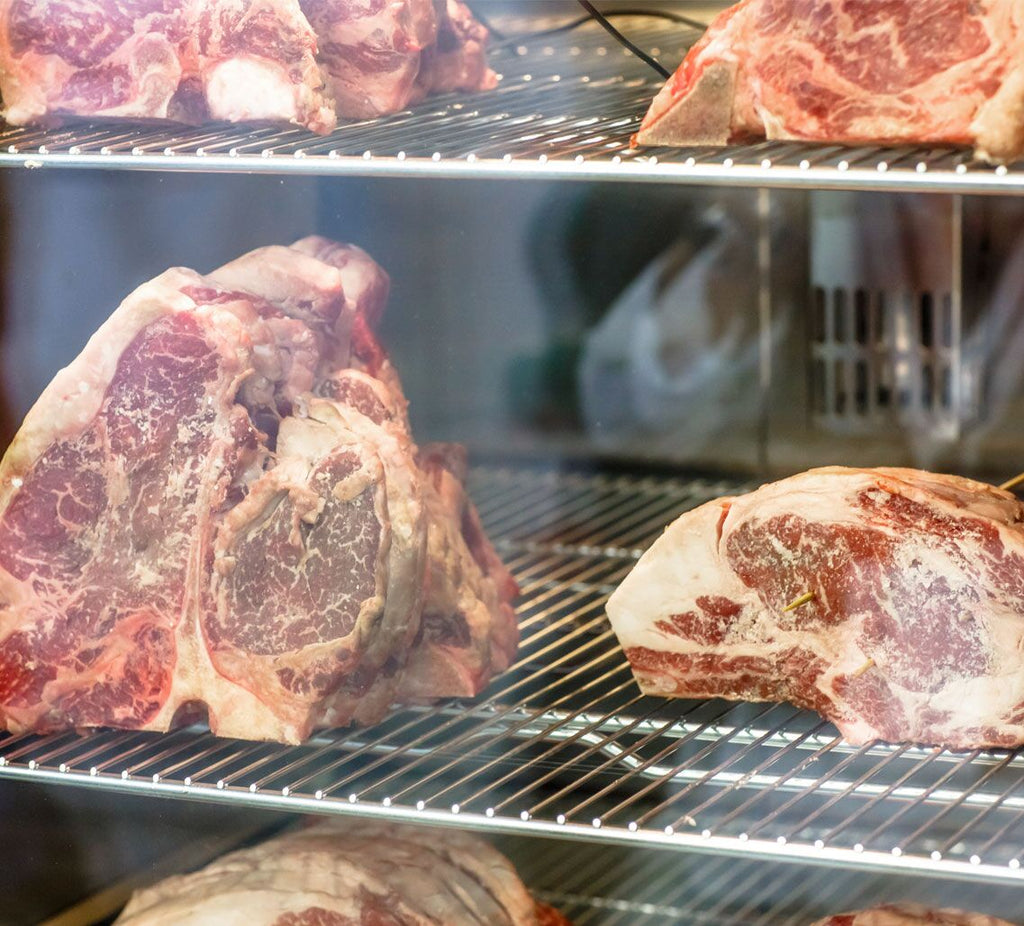 Meat Maturation Cabinet - 1.0 x 0.69 m - 2 glass doors