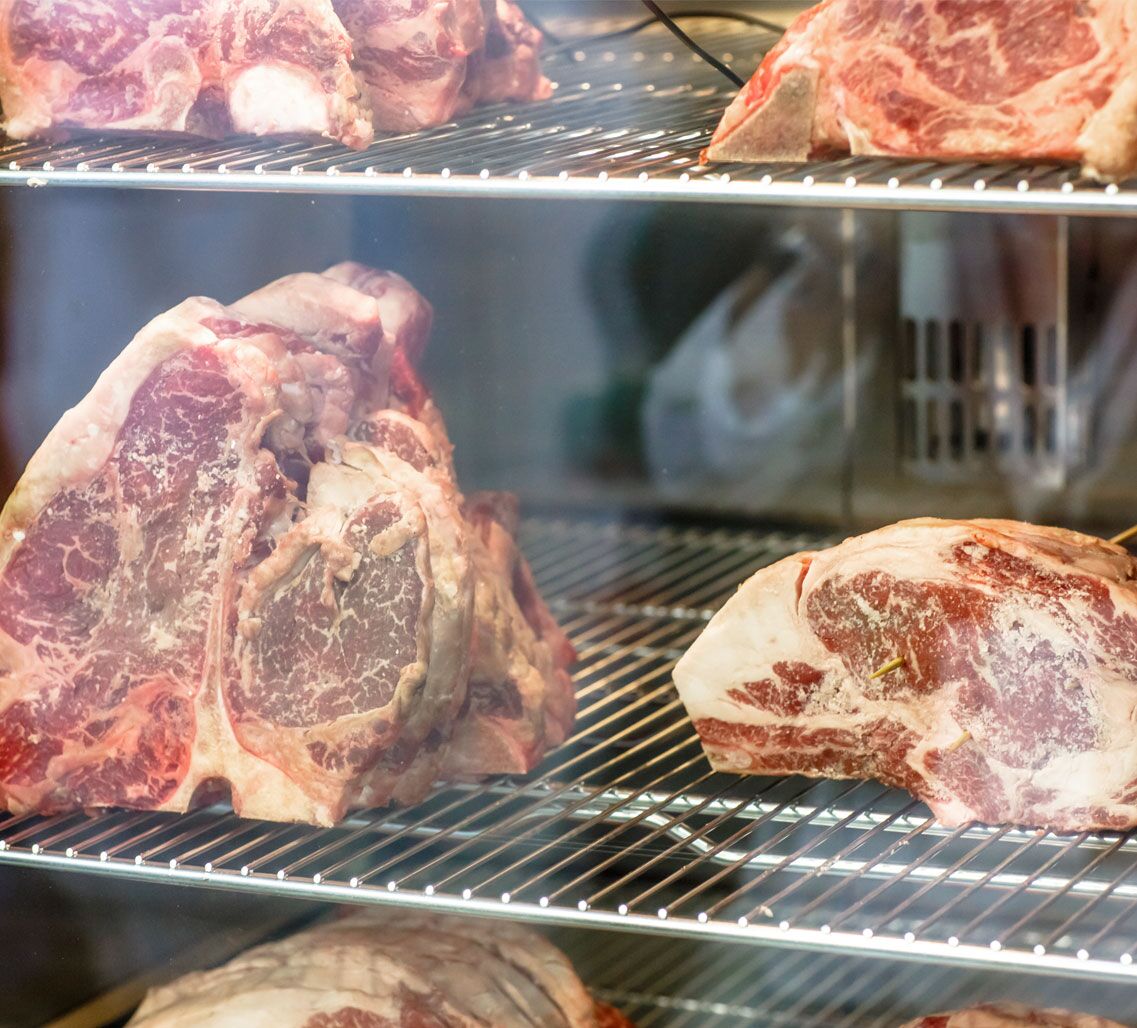 Meat Maturation Cabinet - 1.0 x 0.69 m - 2 glass doors